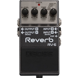 Roland RV6 Boss Digital Reveb & Delay Effects